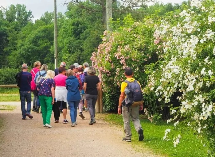 Balade sur le sentier de la rose à Saint-Galmier