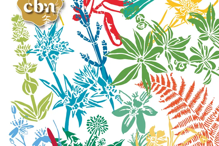 Ex(s)istere, une ode au végétal sauvage à Saint-Étienne
