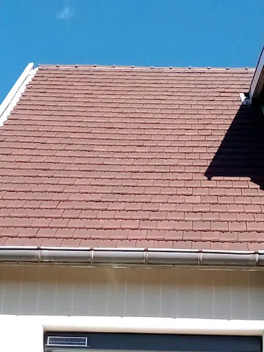 De Araujo Ludovic SARL à Veauche