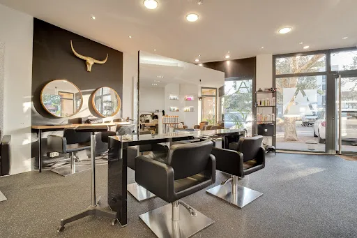 FRANCK ALVAREZ COIFFURE à Veauche