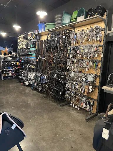 PADD Saint-Etienne à Veauche