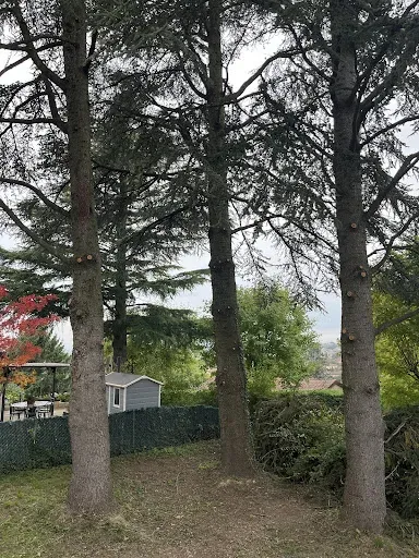 Terideal à Veauche
